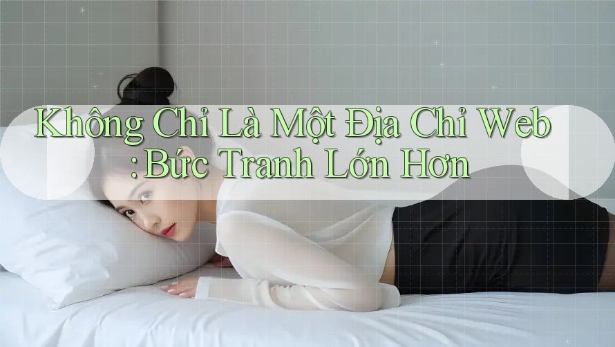 Không Chỉ Là Một Địa Chỉ Web: Bức Tranh Lớn Hơn