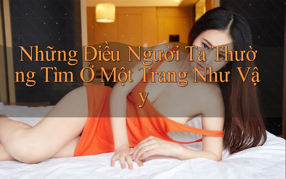 Những Điều Người Ta Thường Tìm Ở Một Trang Như Vậy