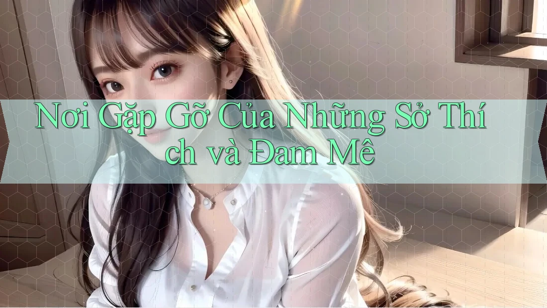 Nơi Gặp Gỡ Của Những Sở Thích và Đam Mê