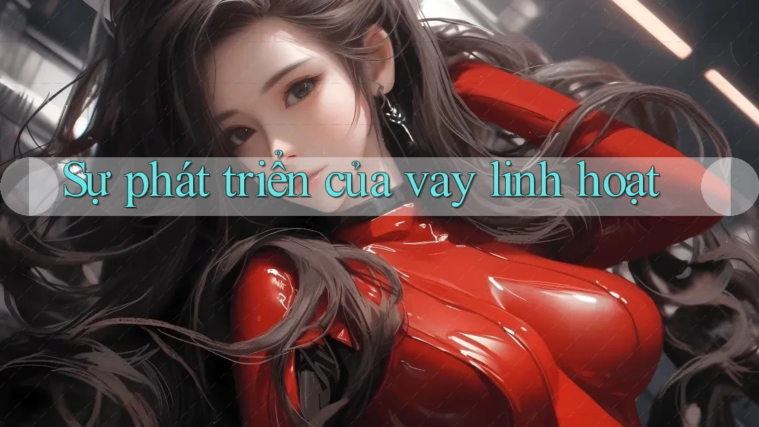 Sự phát triển của vay linh hoạt