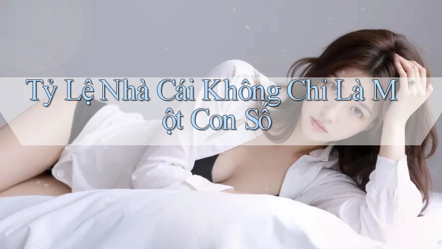 Tỷ Lệ Nhà Cái Không Chỉ Là Một Con Số