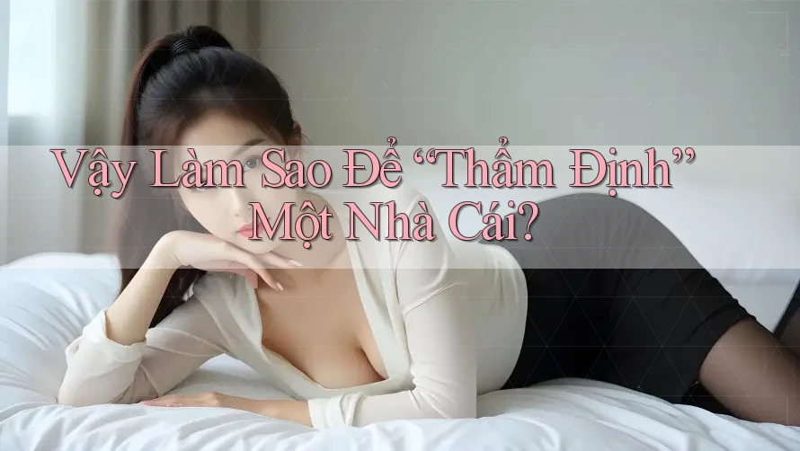 Vậy Làm Sao Để “Thẩm Định” Một Nhà Cái? Vậy Làm Sao Để “Thẩm Định” Một Nhà Cái?